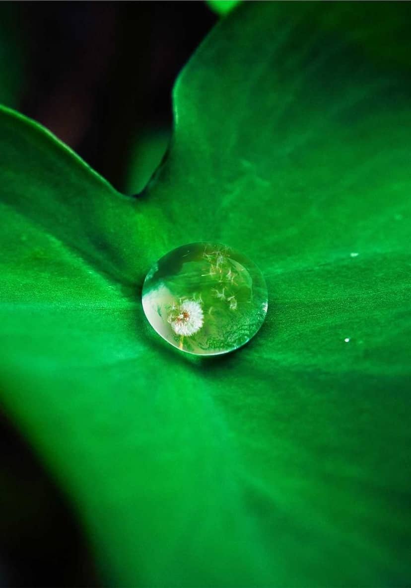 Unauth title VfcPzndZ